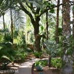 Un jardin d’exception au Maroc …