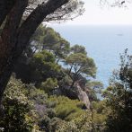 Beauté et Méditation : le Jardin des Méditerranées