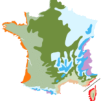 Les zones de rusticité